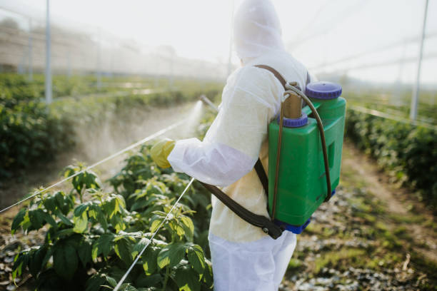 Pest Control for Warehouses in Desert View Highlands, CA